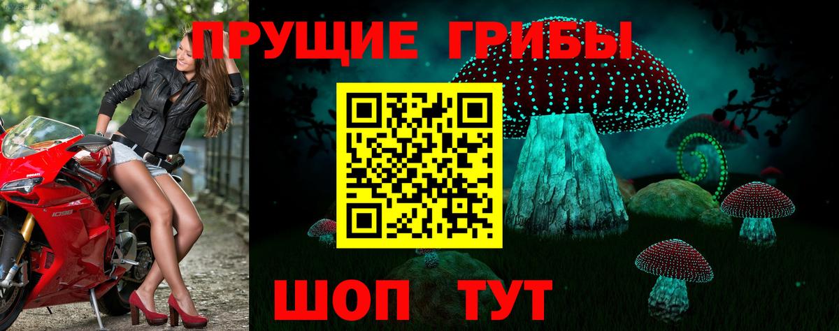 Волгоград  Псилоцибиновые грибы мухоморы  Вход с VPN 